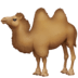 :camel: