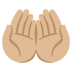 :palms_up_together:t3: