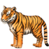 :tiger2: