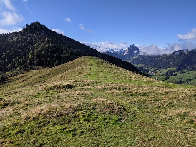 PXL_20201004_073617149