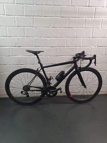 15955373882037330093730472845164