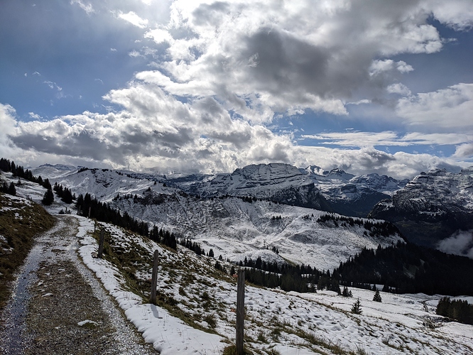 PXL_20201004_091722542