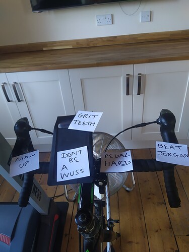 1641983526950290878272638851397