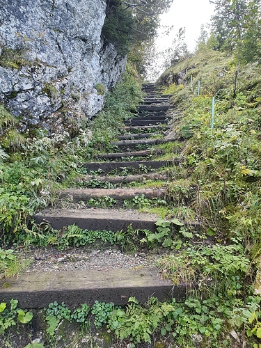 20201004_133332