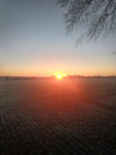 IMG_20201231_081643338_HDR
