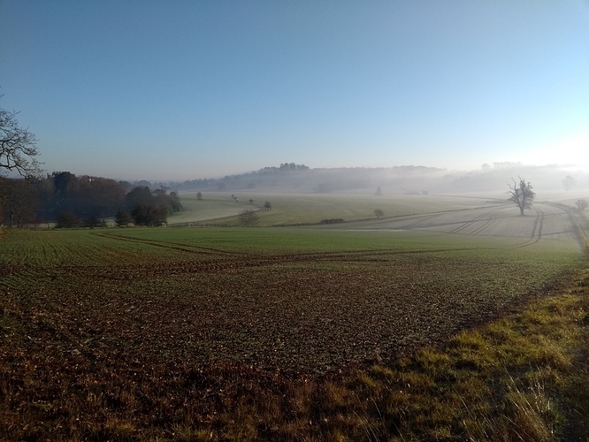 IMG_20191204_094512224