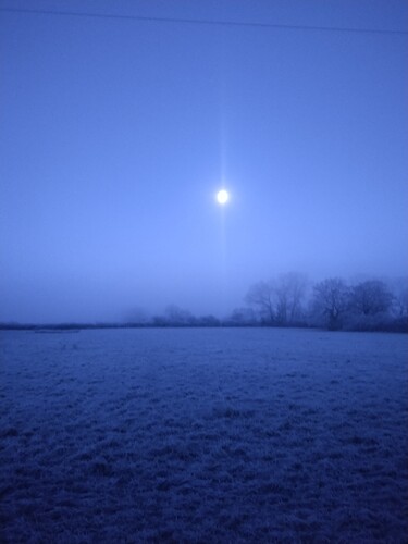 IMG_20201231_073509802