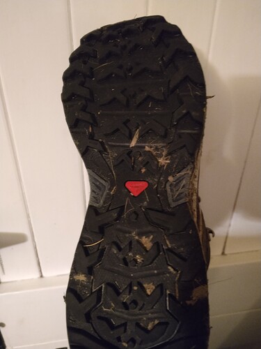 IMG_20210215_180003415