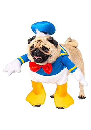 donald-duck-dog-costume
