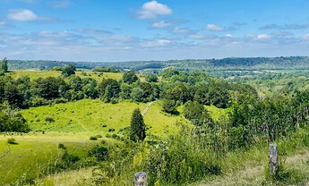 IMG_7375