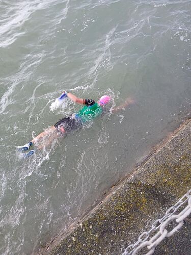 swim with trainers