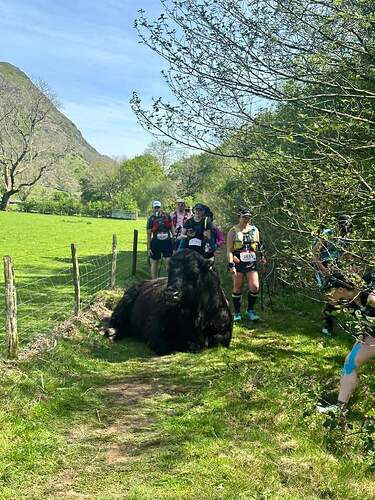 FB_IMG_1715507701868