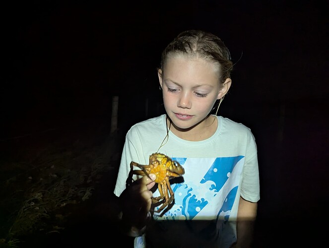 PXL_20251007_192842900