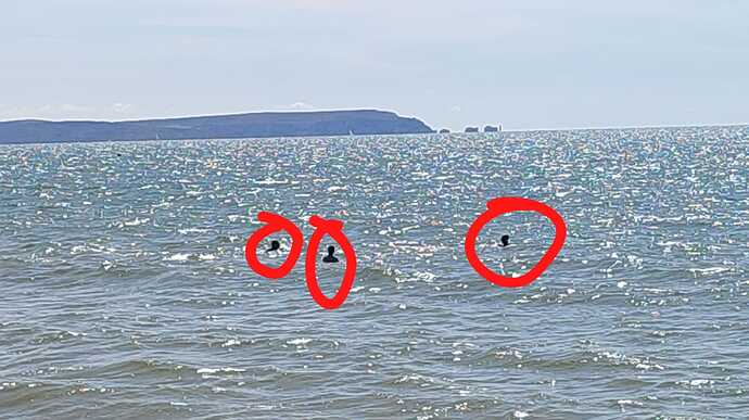 IMG-20220723-WA0020