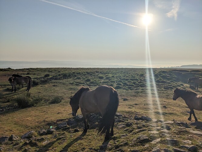 PXL_20230613_053902993