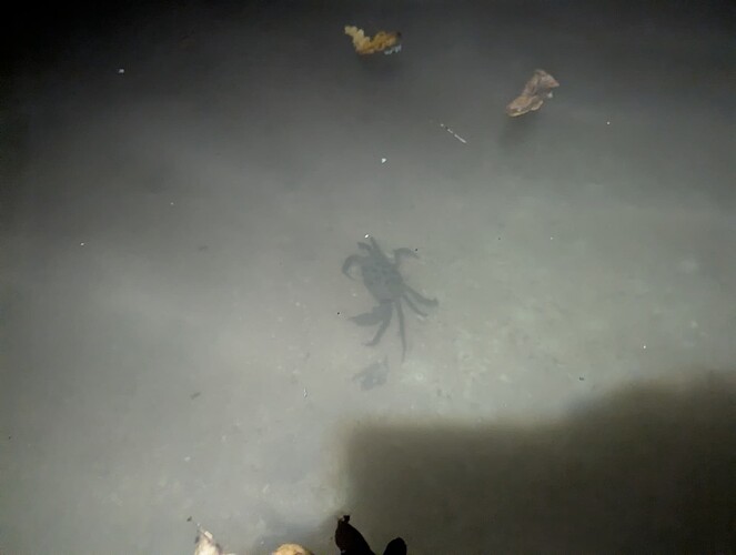 PXL_20251007_192812915