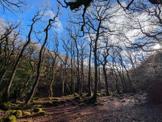 PXL_20260207_133310384