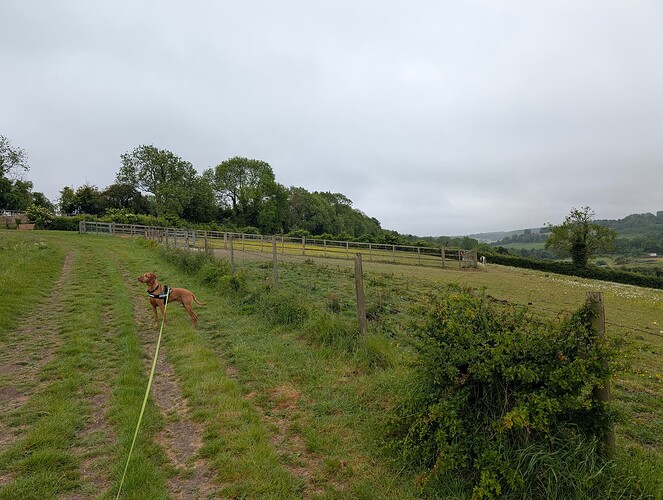 PXL_20250524_083315773