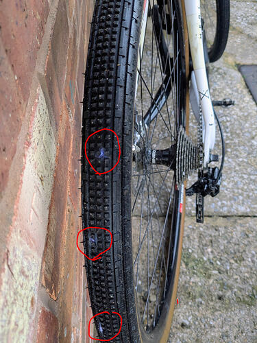 PXL_20260110_152302548~2