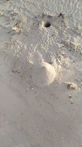 WhatsApp Image 2023-03-31 at 17.02.54