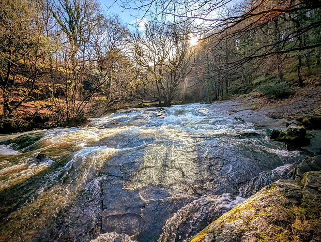 PXL_20260207_133454315~2