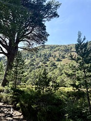 IMG_0731