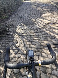 IMG_5881
