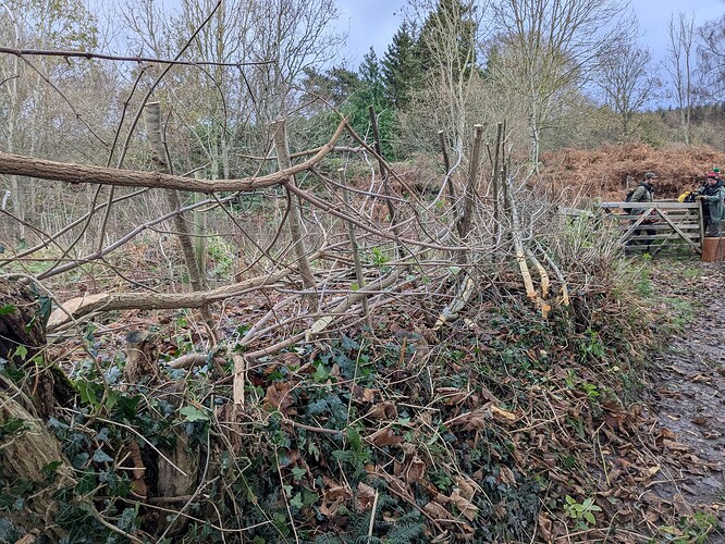 PXL_20251124_144457000.MP