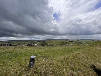 IMG_3973