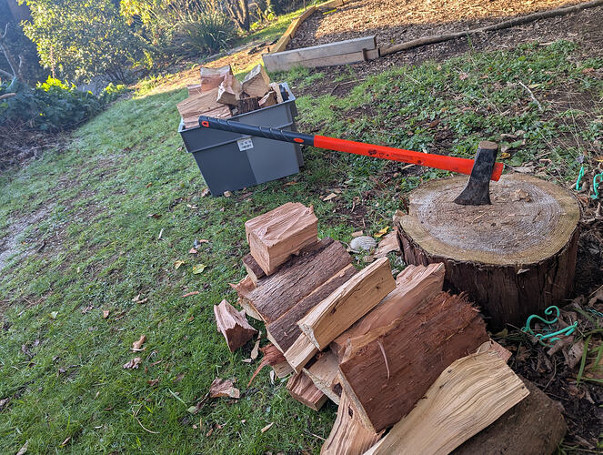 PXL_20260104_100655830