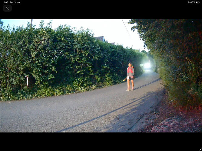 IMG0617